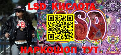 кокс Гатчина