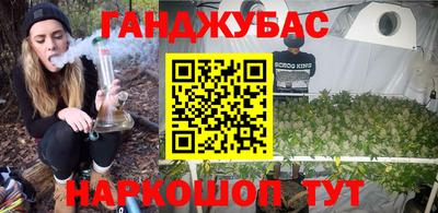 кокс Гатчина