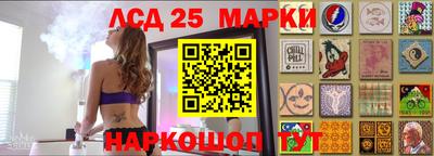 кокс Гатчина