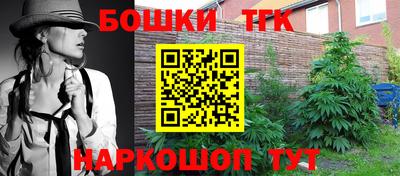 кокс Гатчина