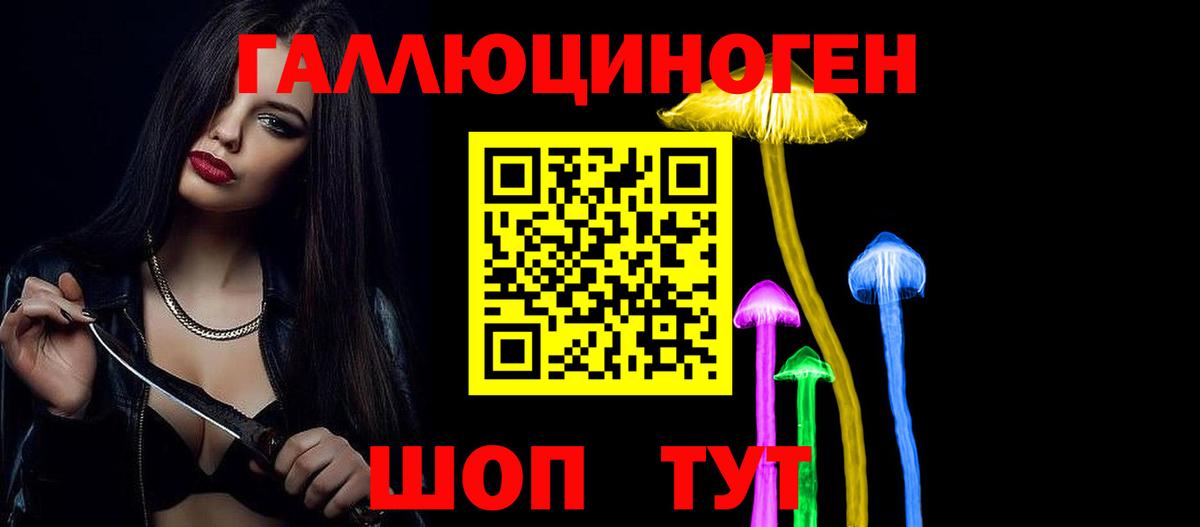 Псилоцибиновые грибы GOLDEN TEACHER Красноармейск